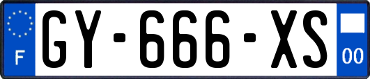 GY-666-XS
