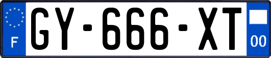 GY-666-XT