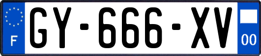 GY-666-XV