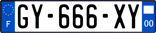 GY-666-XY