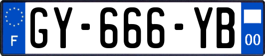 GY-666-YB