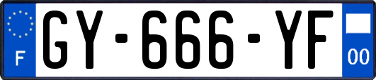 GY-666-YF