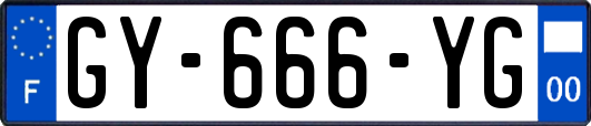 GY-666-YG