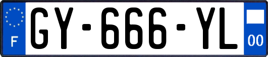 GY-666-YL