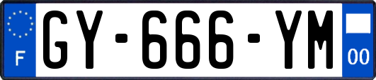 GY-666-YM