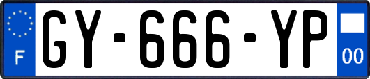 GY-666-YP