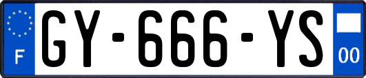GY-666-YS