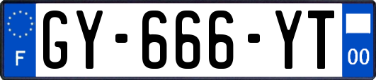 GY-666-YT