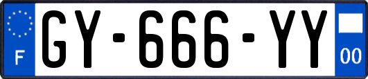 GY-666-YY