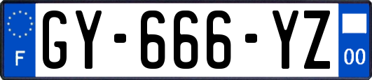 GY-666-YZ