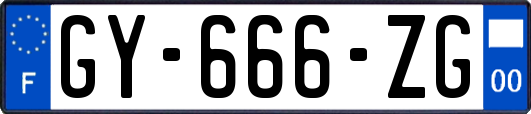 GY-666-ZG