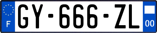 GY-666-ZL