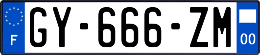 GY-666-ZM