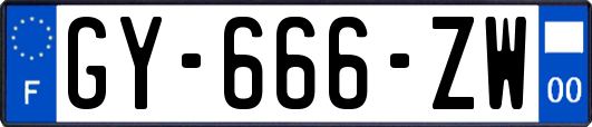 GY-666-ZW