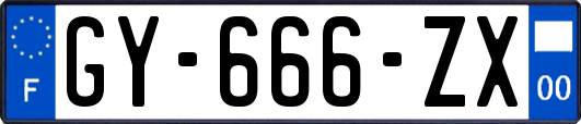 GY-666-ZX