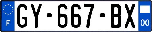 GY-667-BX