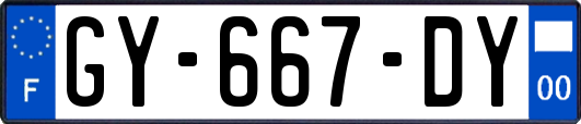 GY-667-DY