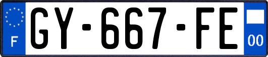 GY-667-FE