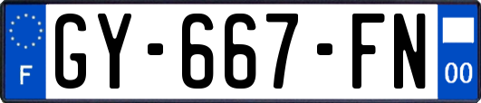 GY-667-FN