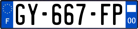 GY-667-FP