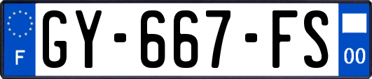 GY-667-FS
