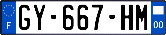 GY-667-HM