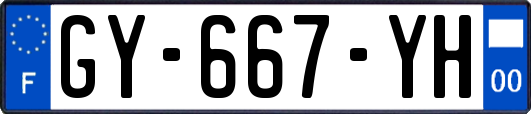 GY-667-YH