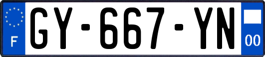 GY-667-YN