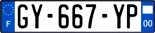 GY-667-YP
