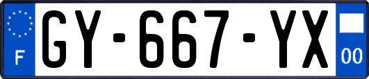 GY-667-YX