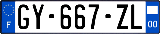 GY-667-ZL