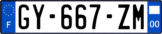 GY-667-ZM