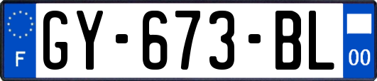 GY-673-BL
