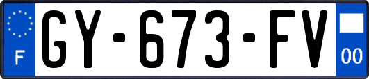 GY-673-FV
