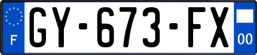 GY-673-FX
