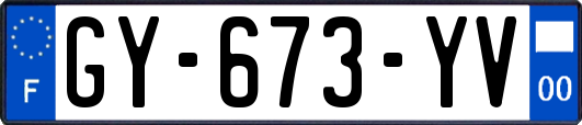 GY-673-YV