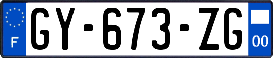 GY-673-ZG