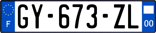 GY-673-ZL