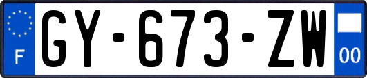 GY-673-ZW