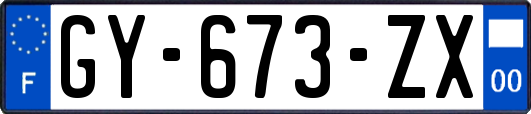 GY-673-ZX