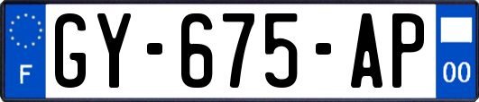 GY-675-AP