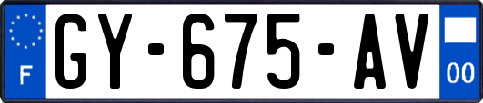 GY-675-AV