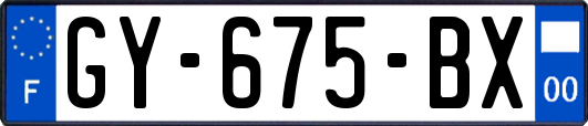 GY-675-BX