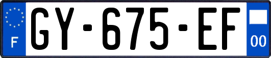 GY-675-EF