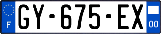 GY-675-EX