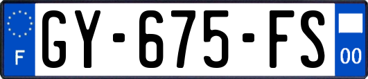 GY-675-FS