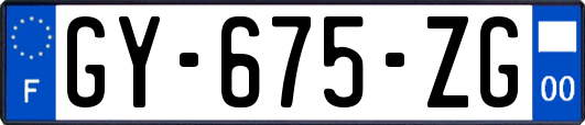 GY-675-ZG