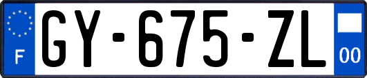 GY-675-ZL