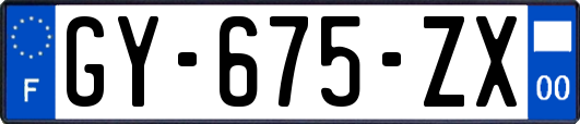 GY-675-ZX