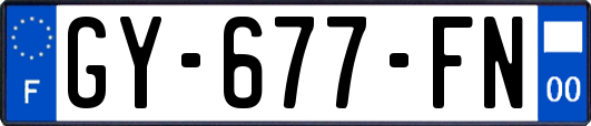 GY-677-FN